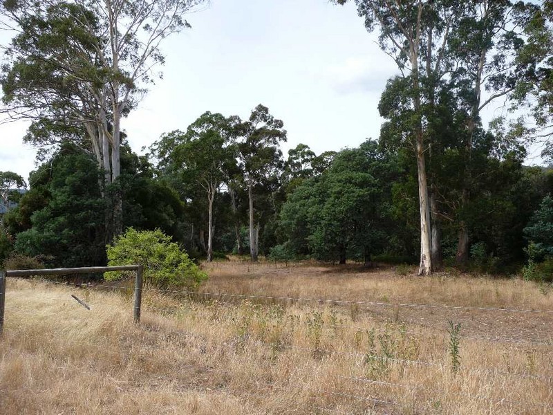 1504 Deddington Road, Deddington TAS 7212