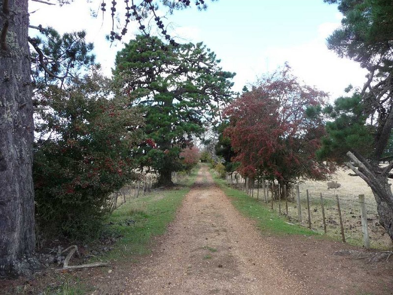 “Harmony” 118 Four Springs Road, Selbourne TAS 7292