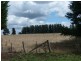 “Harmony” 118 Four Springs Road, Selbourne TAS 7292