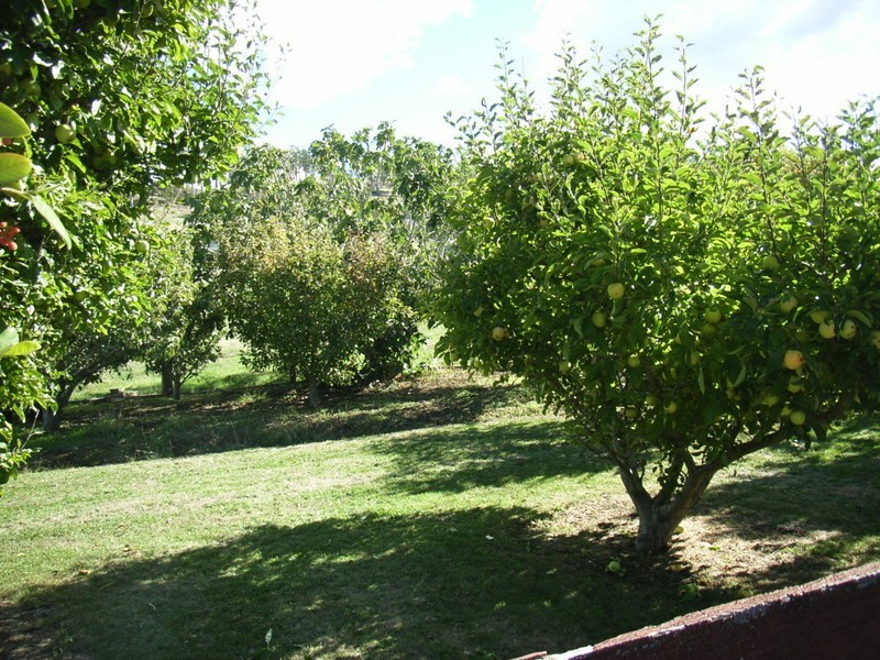 11 Upper McEwans Road, Rosevears TAS 7277