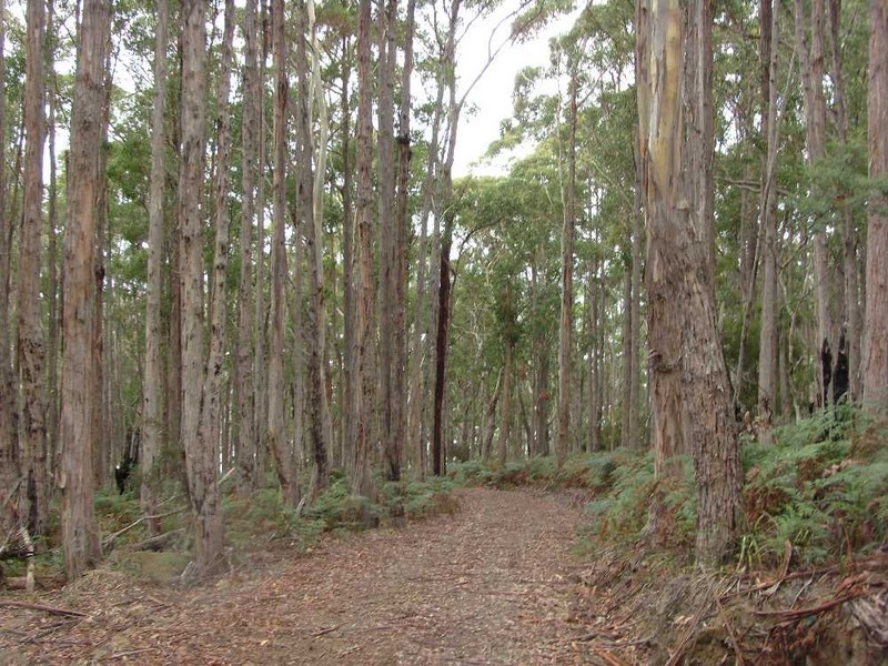 “Walla Womba” Sharps and Lighthouse Road, Bruny Island TAS 7150