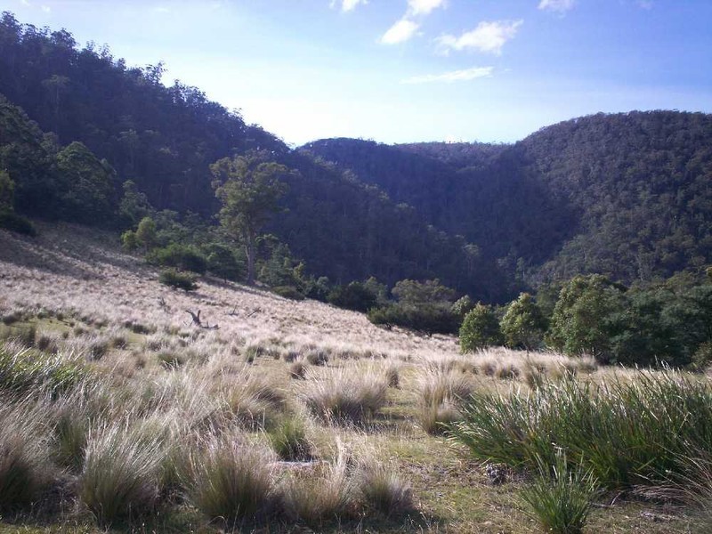 . “Green Tier Creek” Swanston Road, Swanston TAS 7120