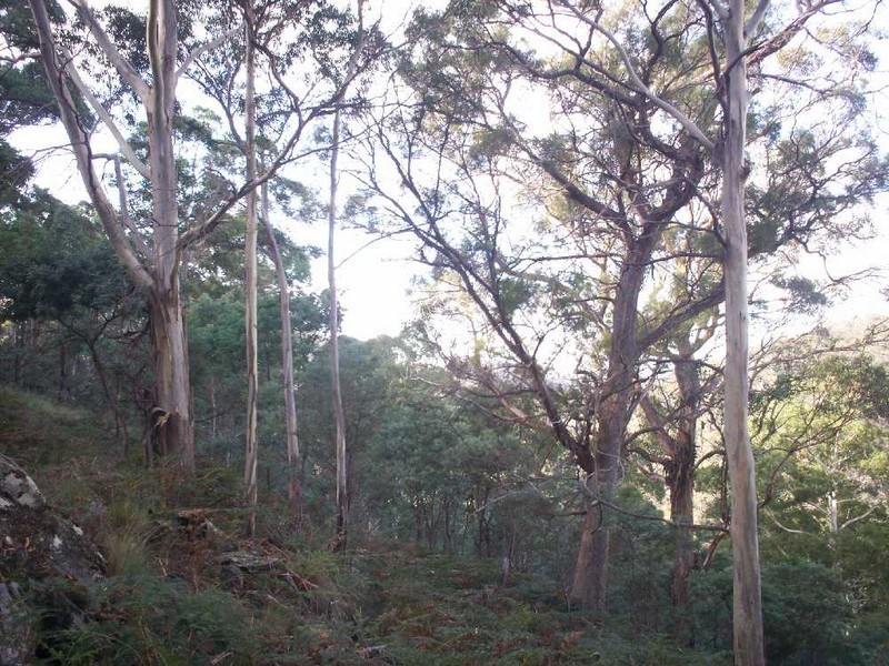 . “Green Tier Creek” Swanston Road, Swanston TAS 7120