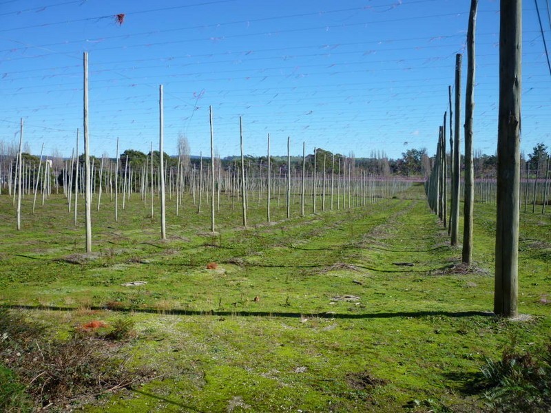 34585 Tasman Highway, Tonganah TAS 7260