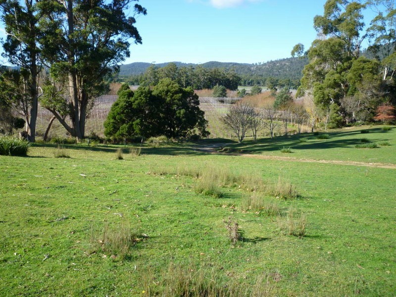 34585 Tasman Highway, Tonganah TAS 7260