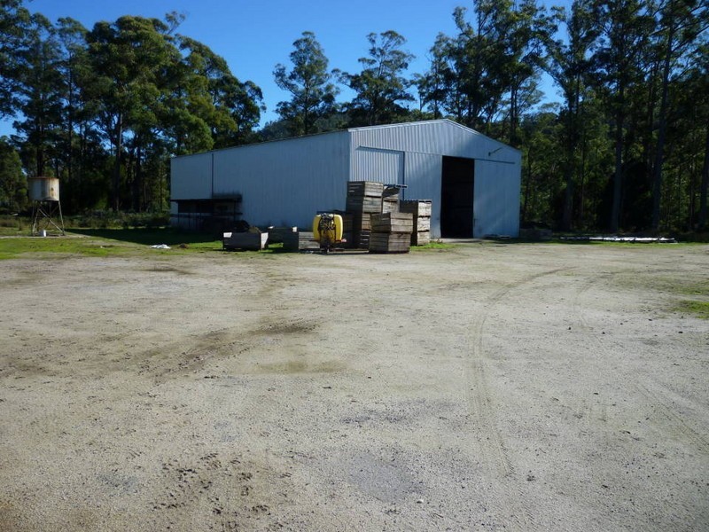 34585 Tasman Highway, Tonganah TAS 7260