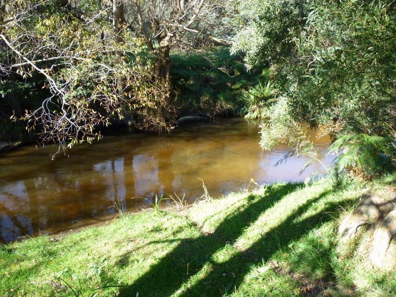 34585 Tasman Highway, Tonganah TAS 7260