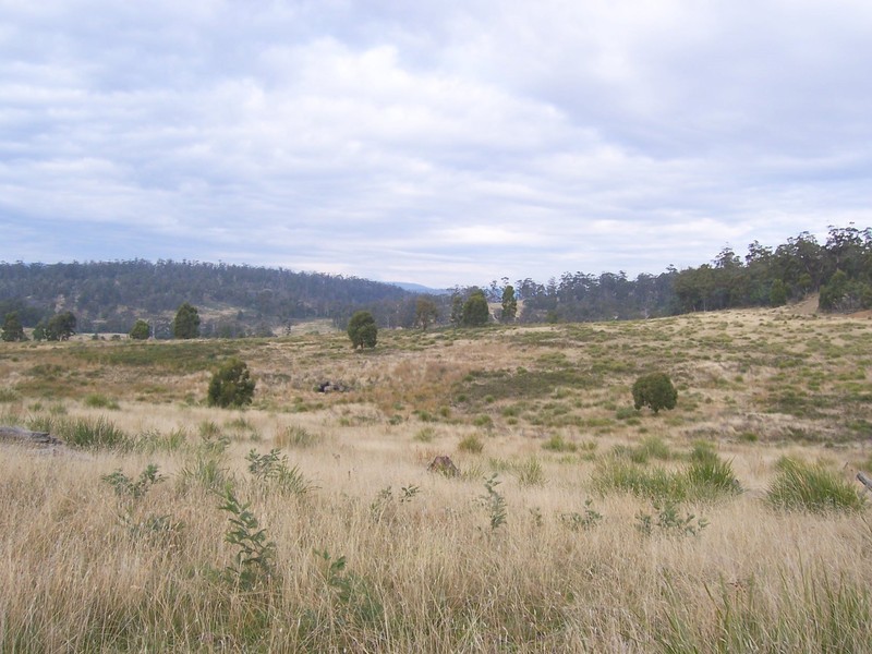 “Goat Gully” Lemont Road, Lemont TAS 7120