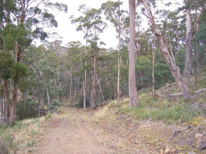 “Goat Gully” Lemont Road, Lemont TAS 7120