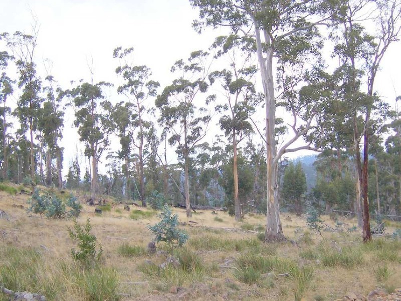 “Goat Gully” Lemont Road, Lemont TAS 7120