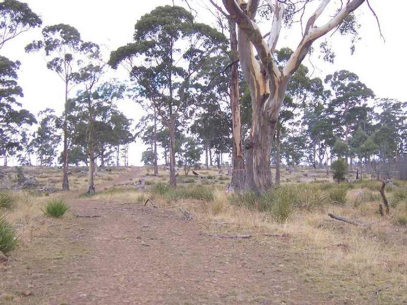 “Goat Gully” Lemont Road, Lemont TAS 7120