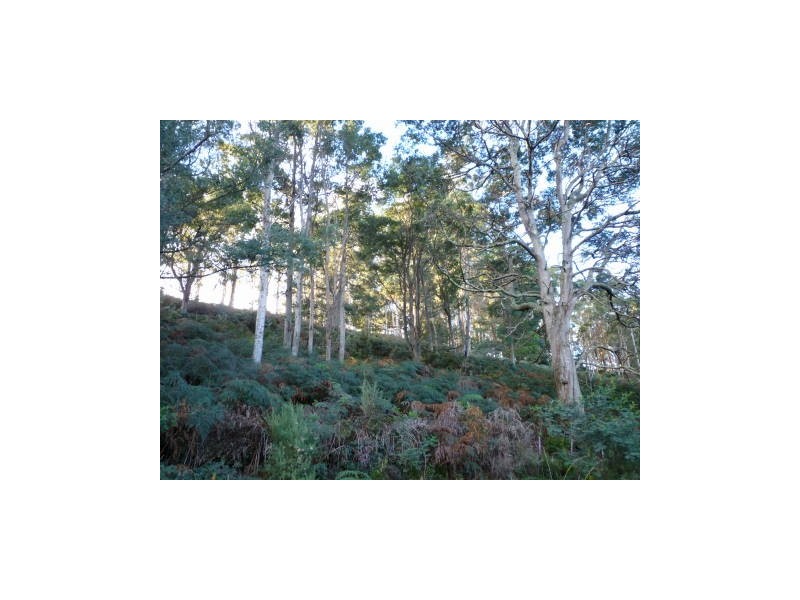 765 Golconda Road, Lebrina TAS 7254