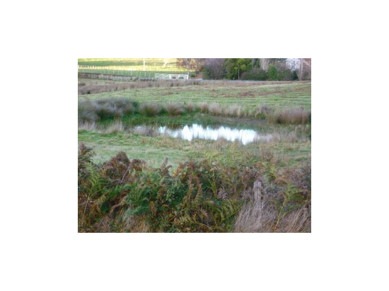 765 Golconda Road, Lebrina TAS 7254