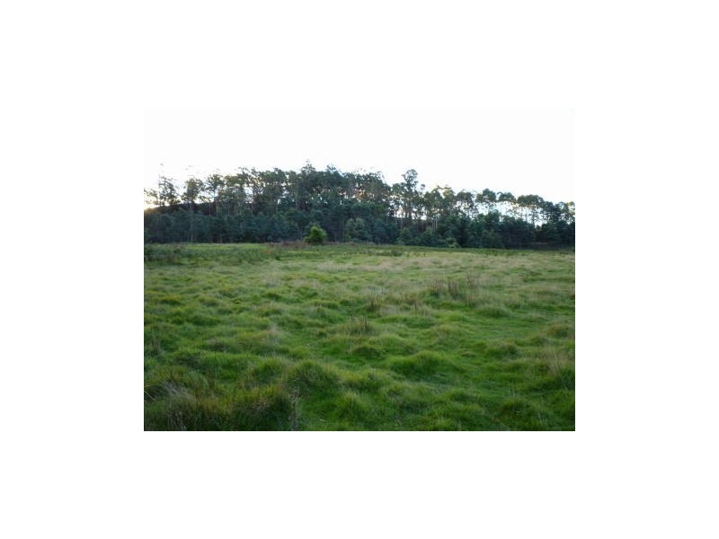 765 Golconda Road, Lebrina TAS 7254