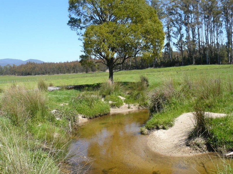 Cuckoo Road, Cuckoo TAS 7260