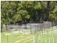 Cuckoo Road, Cuckoo TAS 7260
