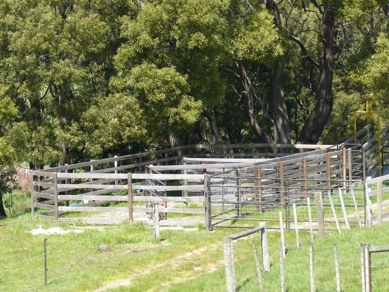 Cuckoo Road, Cuckoo TAS 7260