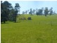 Cuckoo Road, Cuckoo TAS 7260