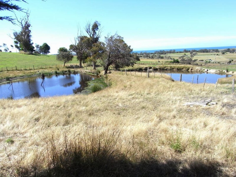 1927 Bridport Road, Bridport TAS 7262