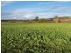38 Westwood Road, Hadspen TAS 7290