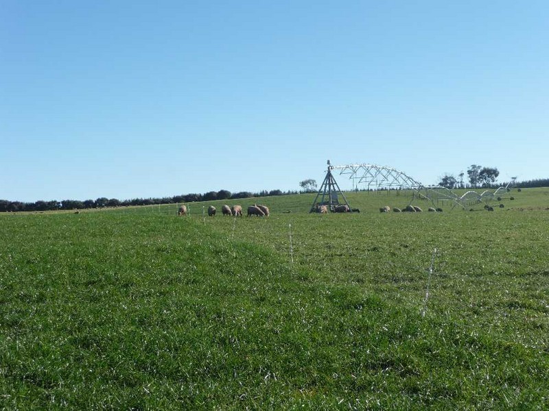 38 Westwood Road, Hadspen TAS 7290