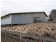38 Westwood Road, Hadspen TAS 7290