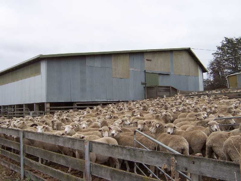 38 Westwood Road, Hadspen TAS 7290
