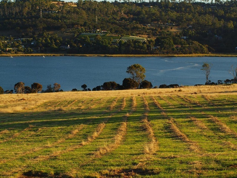 575 Windermere Road, Windermere TAS 7252