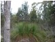 MG8 Forestry Road, Avoca TAS 7213