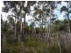 MG8 Forestry Road, Avoca TAS 7213
