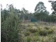 MG8 Forestry Road, Avoca TAS 7213