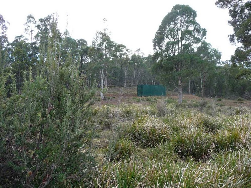 MG8 Forestry Road, Avoca TAS 7213