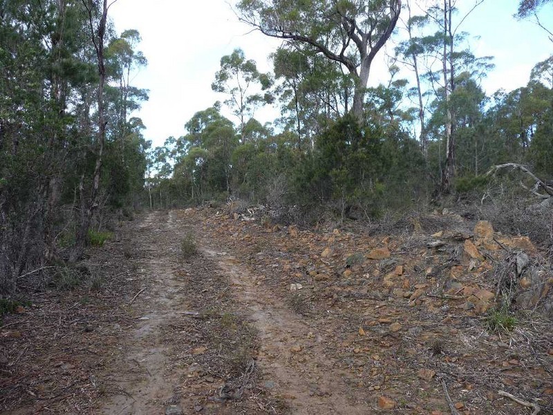 MG8 Forestry Road, Avoca TAS 7213