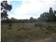 MG8 Forestry Road, Avoca TAS 7213