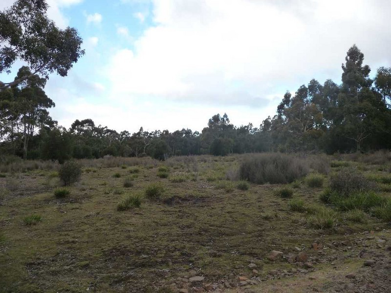 MG8 Forestry Road, Avoca TAS 7213