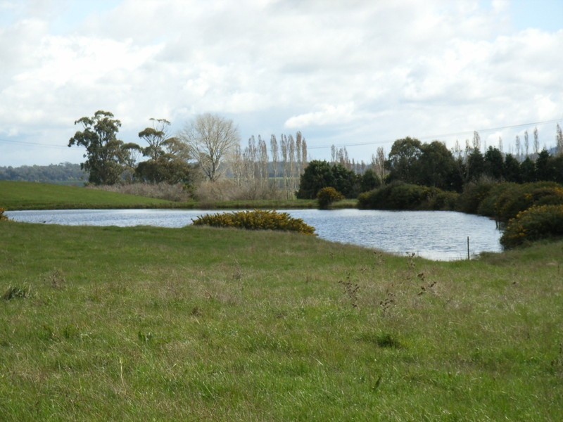 60 Arrandale Road, Longford TAS 7301