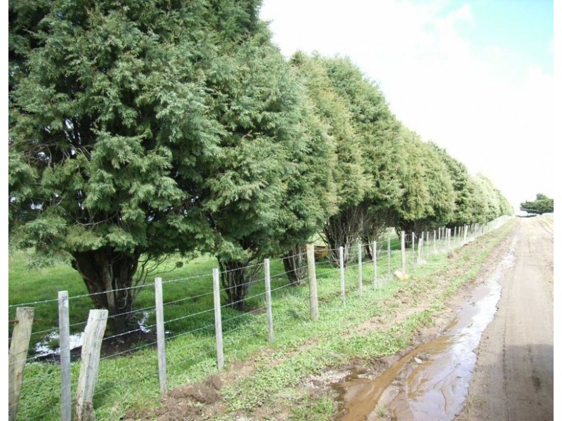 60 Arrandale Road, Longford TAS 7301