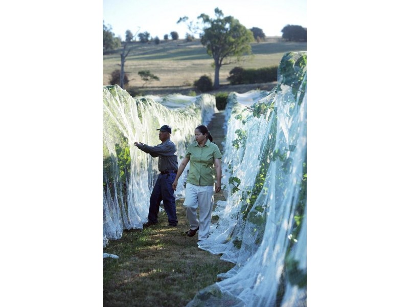 288 Relbia Road, Relbia TAS 7258