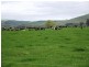 2069 Ellendale Road, Ouse TAS 7140