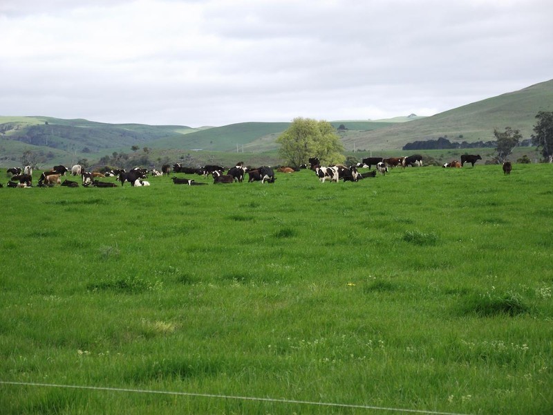 2069 Ellendale Road, Ouse TAS 7140