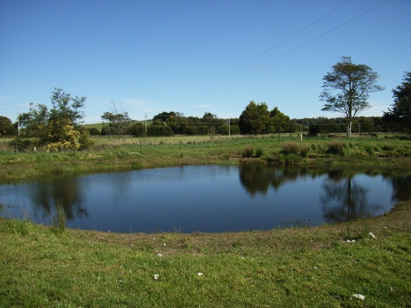 5456 Bridport Road, Pipers River TAS 7252