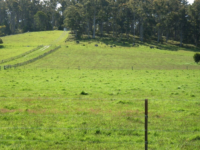 5456 Bridport Road, Pipers River TAS 7252