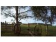 1517 Birralee Road, Birralee TAS 7303