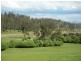 1517 Birralee Road, Birralee TAS 7303
