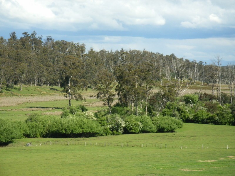 1517 Birralee Road, Birralee TAS 7303