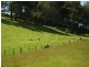 1517 Birralee Road, Birralee TAS 7303