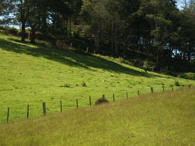 1517 Birralee Road, Birralee TAS 7303