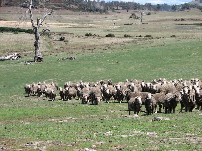 1025 Lemont Road, Lemont TAS 7120