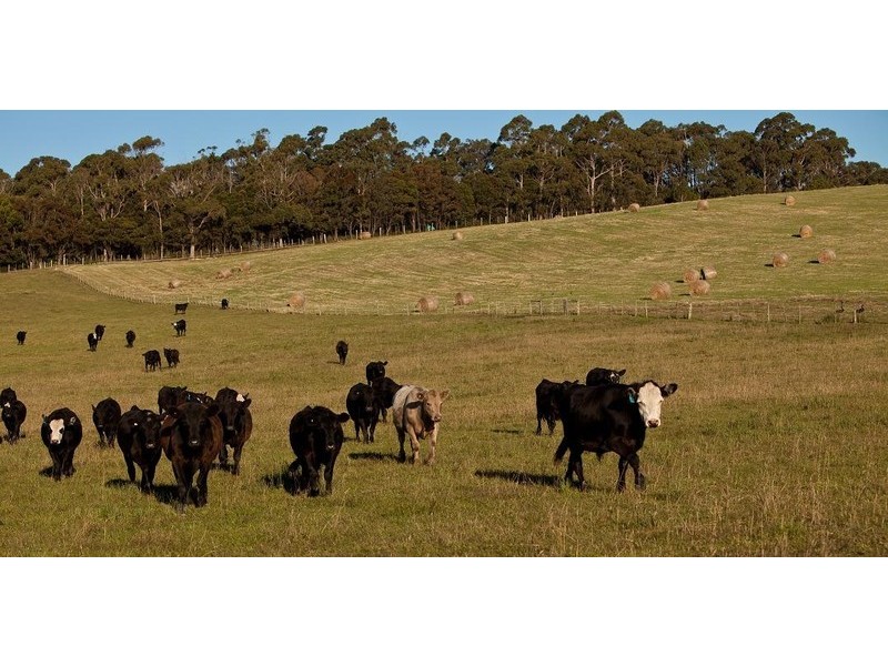 265 Tarleton Road, Tarleton, Spreyton TAS 7310