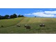 265 Tarleton Road, Tarleton, Spreyton TAS 7310